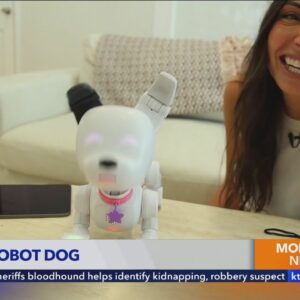 Code, play, and bond with this $80 robot dog