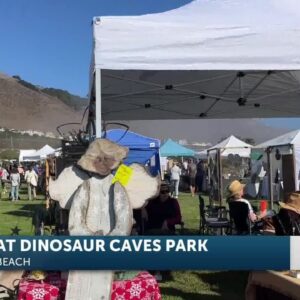 Community members gather at the Dinosaur Caves for Art in the Park