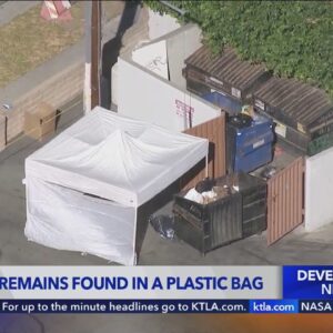 Dismembered woman found in dumpster - 3PM update