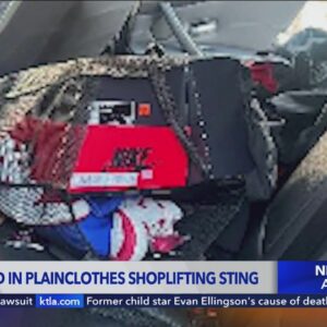 Plainclothes shoplifting stings result in 11 arrests during Black Friday weekend