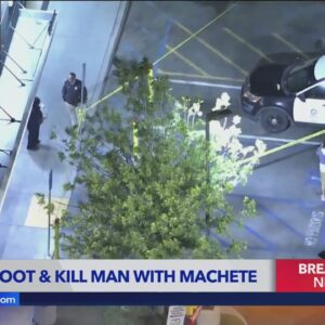Machete-wielding man shot, killed by police at popular Calabasas restaurant