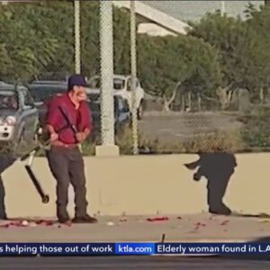 Flower vendor stabbed six times in South Los Angeles