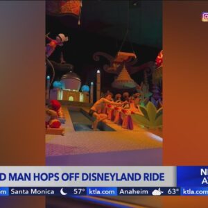 Half-naked man hops off Disneyland ride