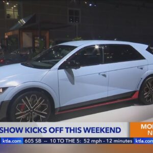 L.A. Auto Show: Part Two