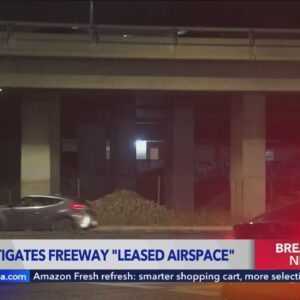 'Leased airspace' may have contributed to 10 Freeway fire