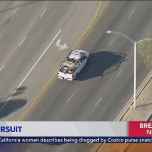 Los Angeles police officers pursue carjacking suspect