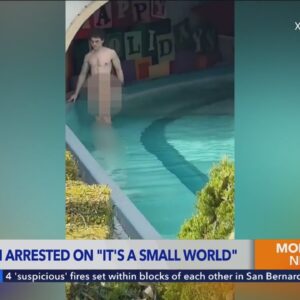 Man who stripped naked on Disneyland ride was on drugs, police say