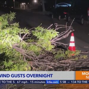 Strong winds topple trees, prompt power outage warnings
