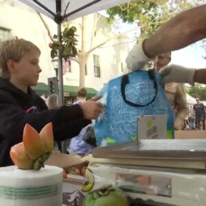 Thanksgiving cooks flock to farmers markets before the holiday