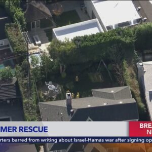 Tree trimmer possibly electrocuted in Cheviot Hills