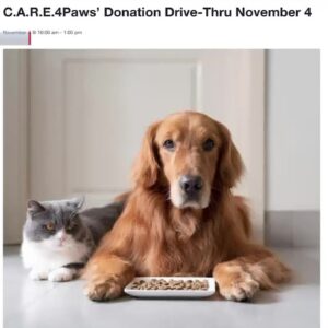 Real Estate meets Animal Advocacy in one-of-a-kind Pet Supply and Food Donation Drive