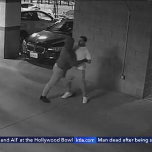 Violent follow-home robbery caught on camera in North Hollywood