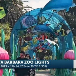 “Zoo Lights” Lights Up Santa Barbara Zoo