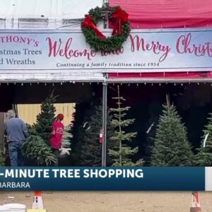 Anthony’s Trees sees spike in Christmas tree sales over weekend- just a week before the big ...