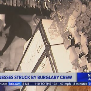 4 businesses burglarized within 20 minutes in San Fernando Valley