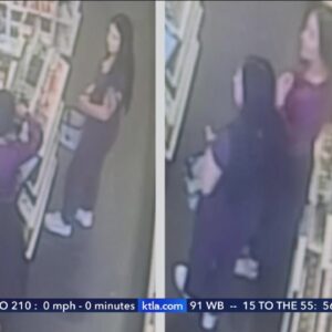 'Booster skirt' used to steal $3K in cosmetics from Sephora in Malibu