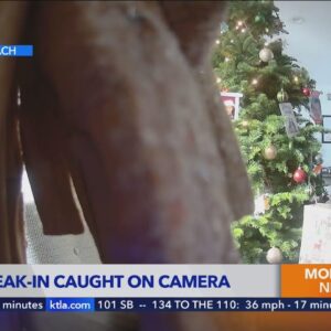 Burglar caught on camera taking presents from Christmas tree