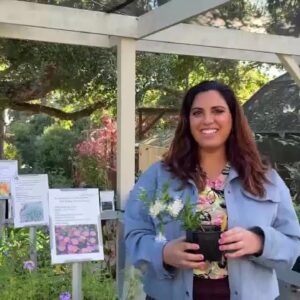 Santa Barbara Botanic Garden offers new course on landscaping for California native plants