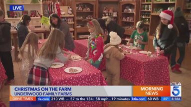 Christmas at Underwood Family Farms (8 a.m.)