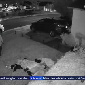 Christmas Grinches steal holiday decorations in Southern California
