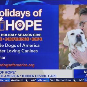 Guide Dogs of America Tender Loving Canines Holidays of Hope