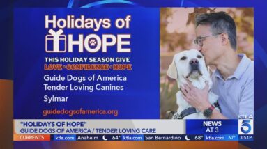 Guide Dogs of America Tender Loving Canines Holidays of Hope