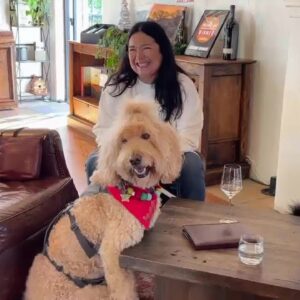 Local winery combines wine tasting with therapy dogs to support two Santa Barbara non-profits