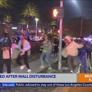 Riot at Torrance mall involving thousands of juveniles results in 5 arrests, sparks outrage from loc