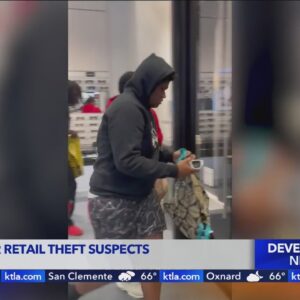 Authorities in Irvine searching for retail theft suspects after brazen heist at Sunglass Hut