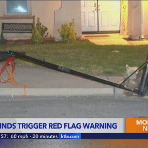 Strong winds trigger Red Flag warnings across Southern California 