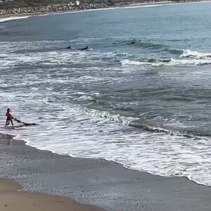 Surfers catch waves on sunny Christmas Day