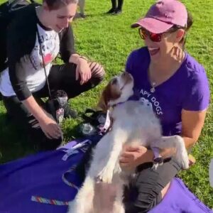 Therapy dogs help local college students cope with stress