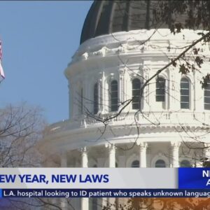 These are the new laws taking effect in California in 2024