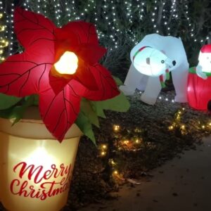 Thousands flock to Christmas Tree Lane or F Street in Oxnard