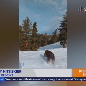 Wild video shows bear darting across Tahoe ski slope