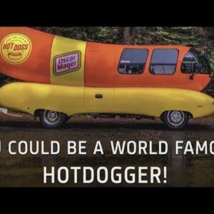 You need a bachelor's degree to make $35k/year driving the Wienermobile