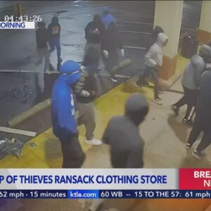Suspects caught on video ramming government vehicle into storefront, stealing merchandise 