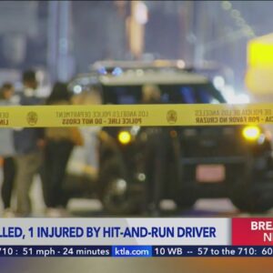 1 person killed, 1 injured in Vermont Vista hit-and-run