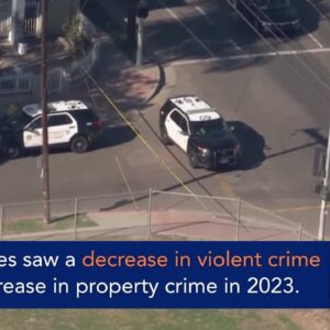 2023 Los Angeles crime statistics released