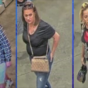 3 sought in wallet theft of unsuspecting Costco shopper