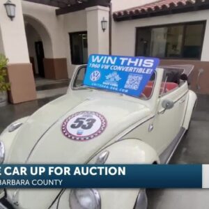 A rare Volkswagon bug is up for auction