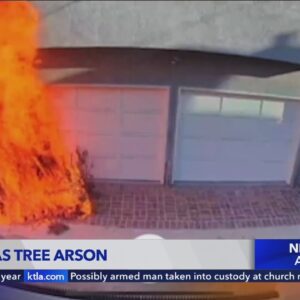 Arsonist sets Christmas tree on fire in Long Beach neighborhood