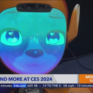 CES 2024: Transparent TV, Fingerprint Locks & AI Robots