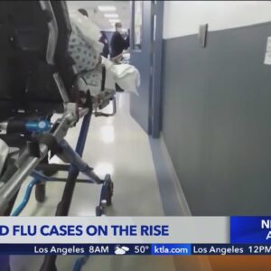 COVID, Flu and RSV cases on the rise