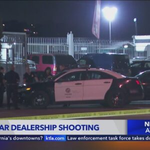 Deadly car dealership shooting in Glassell Park