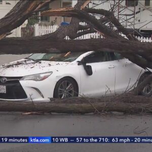 Downpours flood 405 Freeway, send tree crashing onto car