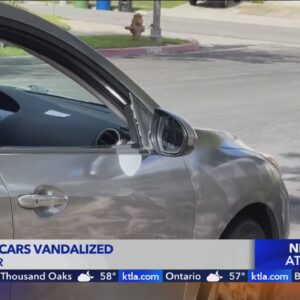 Dozens of cars vandalized in Westchester