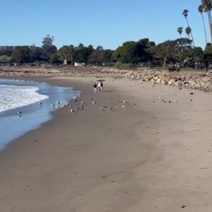 Goleta Beach holds up after the recent storms