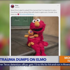 Internet trauma dumps on Elmo