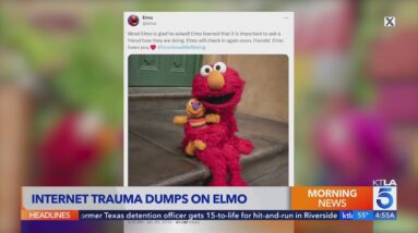 Internet trauma dumps on Elmo